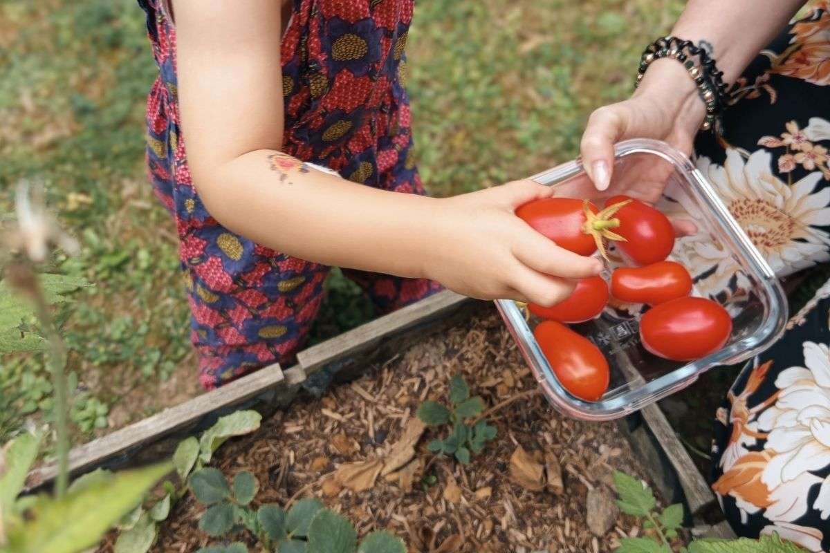 Les activités extérieures et le potager sont au programme dans certaines crèches proximité avec la nature