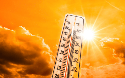 Canicule et jeune enfant : prévenir les risques à la maison et en crèche